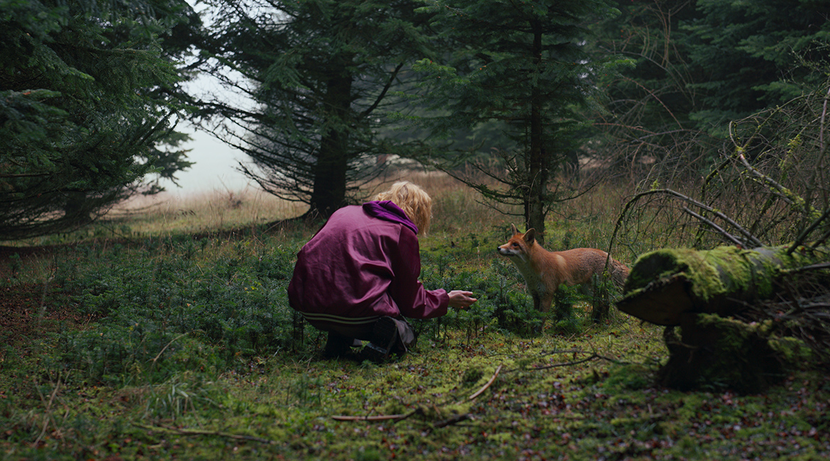 DER WALD IN MIR © Bernhard Keller