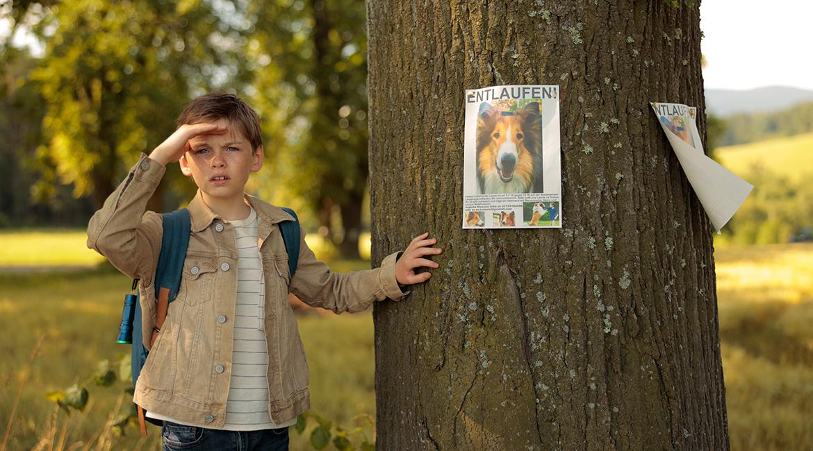 LASSIE – EINE ABENTEUERLICHE REISE © Tom Trambow/Warner Bros.