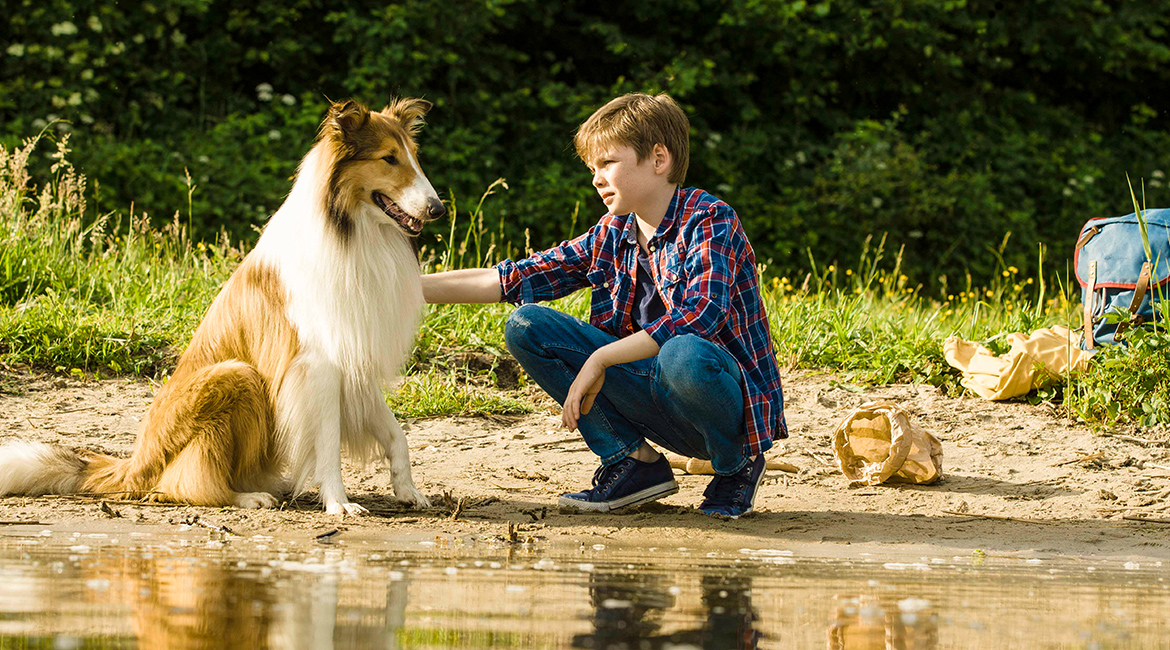 LASSIE – EINE ABENTEUERLICHE REISE © Tom Trambow/Warner Bros.