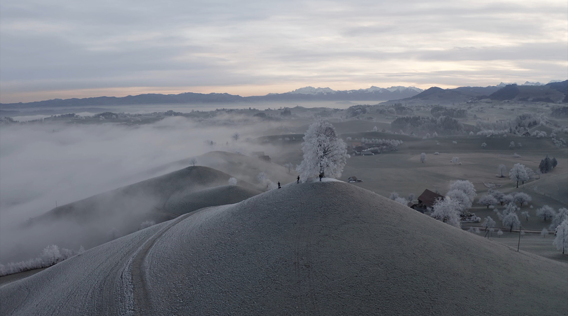 DER AST, AUF DEM ICH SITZE – EIN STEUERPARADIES IN DER SCHWEIZ © Bildersturm Filmproduktion GmbH