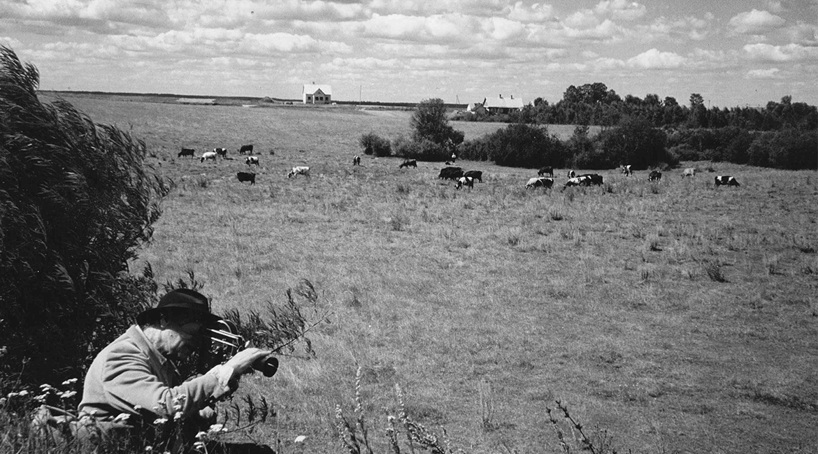 JONAS IN THE FIELDS © Peter Sempel